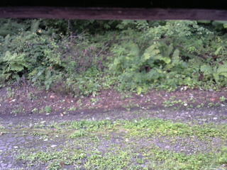 長野県菅平高原 ゆたか山荘 南側 2025/08/25 06:00