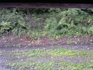 長野県菅平高原 ゆたか山荘 南側 2025/08/25 06:15