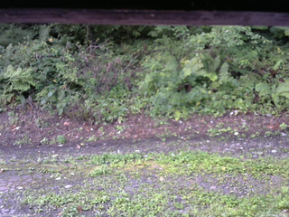 長野県菅平高原 ゆたか山荘 南側 2025/08/25 06:30