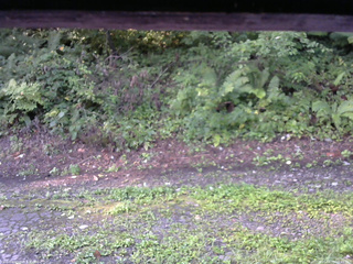 長野県菅平高原 ゆたか山荘 南側 2025/08/25 06:45