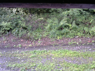 長野県菅平高原 ゆたか山荘 南側 2025/08/25 07:00