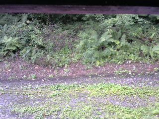 長野県菅平高原 ゆたか山荘 南側 2025/08/25 07:15