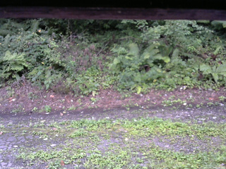 長野県菅平高原 ゆたか山荘 南側 2025/08/25 07:30