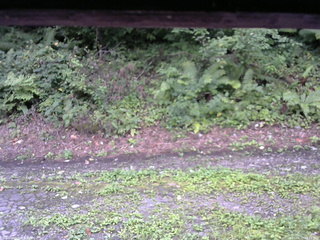 長野県菅平高原 ゆたか山荘 南側 2025/08/25 08:15