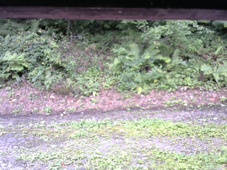 長野県菅平高原 ゆたか山荘 南側 2025/08/25 09:00