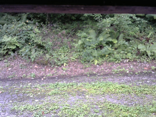 長野県菅平高原 ゆたか山荘 南側 2025/08/25 09:45