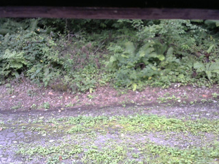 長野県菅平高原 ゆたか山荘 南側 2025/08/25 10:00