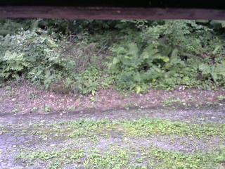 長野県菅平高原 ゆたか山荘 南側 2025/08/25 11:15