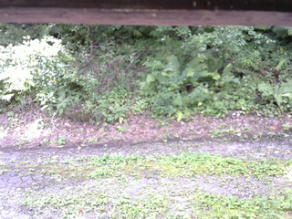 長野県菅平高原 ゆたか山荘 南側 2025/08/25 11:30