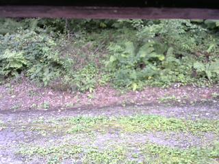 長野県菅平高原 ゆたか山荘 南側 2025/08/25 11:45