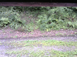 長野県菅平高原 ゆたか山荘 南側 2025/08/25 12:00