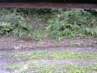 長野県菅平高原 ゆたか山荘 南側 2025/08/25 12:15