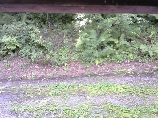 長野県菅平高原 ゆたか山荘 南側 2025/08/25 12:30