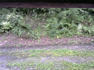 長野県菅平高原 ゆたか山荘 南側 2025/08/25 12:45