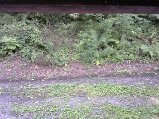 長野県菅平高原 ゆたか山荘 南側 2025/08/25 13:00