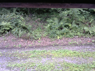 長野県菅平高原 ゆたか山荘 南側 2025/08/25 13:15