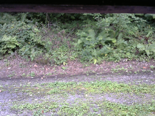 長野県菅平高原 ゆたか山荘 南側 2025/08/25 13:45