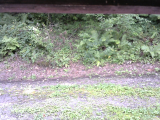 長野県菅平高原 ゆたか山荘 南側 2025/08/25 14:00