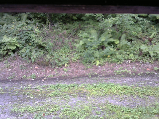 長野県菅平高原 ゆたか山荘 南側 2025/08/25 14:30