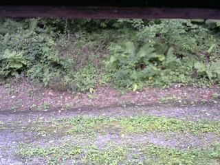 長野県菅平高原 ゆたか山荘 南側 2025/08/25 14:45