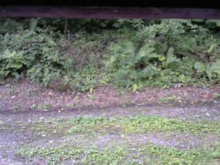 長野県菅平高原 ゆたか山荘 南側 2025/08/25 15:00