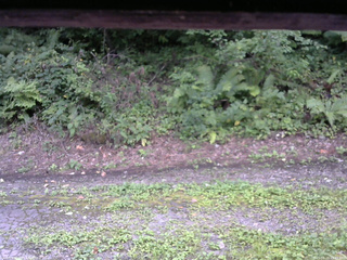 長野県菅平高原 ゆたか山荘 南側 2025/08/25 15:45