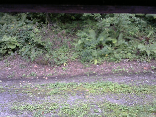 長野県菅平高原 ゆたか山荘 南側 2025/08/25 16:00