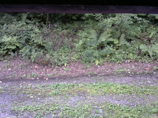 長野県菅平高原 ゆたか山荘 南側 2025/08/25 16:15