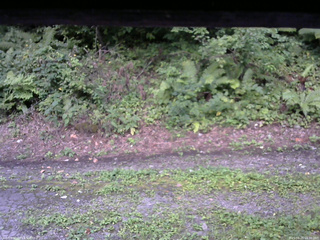 長野県菅平高原 ゆたか山荘 南側 2025/08/25 16:30