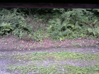 長野県菅平高原 ゆたか山荘 南側 2025/08/25 16:45