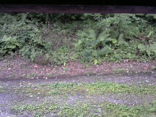 長野県菅平高原 ゆたか山荘 南側 2025/08/25 17:15