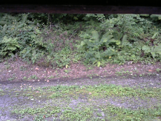 長野県菅平高原 ゆたか山荘 南側 2025/08/25 17:30