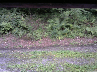 長野県菅平高原 ゆたか山荘 南側 2025/08/25 18:00