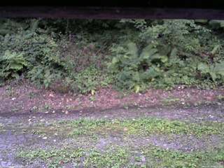 長野県菅平高原 ゆたか山荘 南側 2025/08/25 18:15