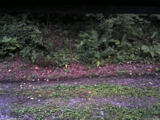 長野県菅平高原 ゆたか山荘 南側 2025/08/25 18:30