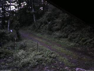 長野県菅平高原 ゆたか山荘 東側(坂下) 2025/08/25 05:00