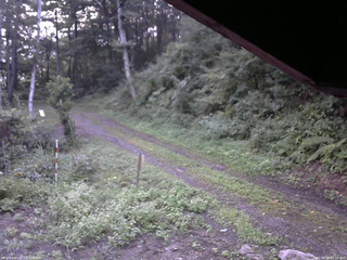 長野県菅平高原 ゆたか山荘 東側(坂下) 2025/08/25 05:15