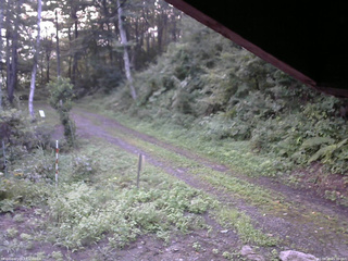 長野県菅平高原 ゆたか山荘 東側(坂下) 2025/08/25 05:30