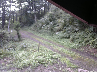 長野県菅平高原 ゆたか山荘 東側(坂下) 2025/08/25 07:15