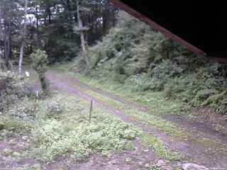 長野県菅平高原 ゆたか山荘 東側(坂下) 2025/08/25 08:00