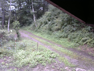 長野県菅平高原 ゆたか山荘 東側(坂下) 2025/08/25 08:15