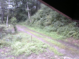 長野県菅平高原 ゆたか山荘 東側(坂下) 2025/08/25 08:30