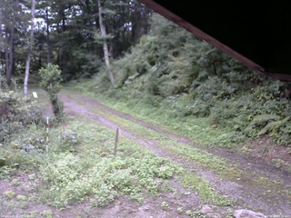 長野県菅平高原 ゆたか山荘 東側(坂下) 2025/08/25 09:15