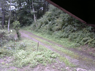 長野県菅平高原 ゆたか山荘 東側(坂下) 2025/08/25 10:00