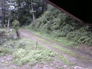長野県菅平高原 ゆたか山荘 東側(坂下) 2025/08/25 11:00