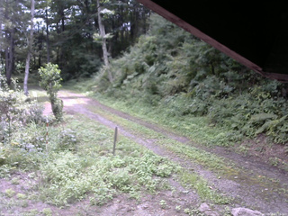 長野県菅平高原 ゆたか山荘 東側(坂下) 2025/08/25 11:15