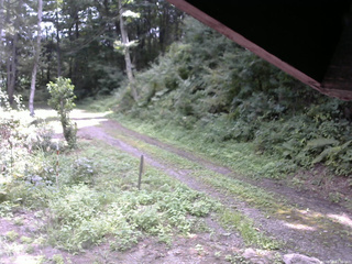 長野県菅平高原 ゆたか山荘 東側(坂下) 2025/08/25 11:30