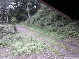 長野県菅平高原 ゆたか山荘 東側(坂下) 2025/08/25 12:00
