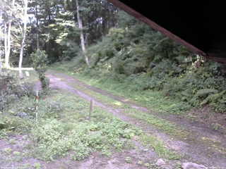 長野県菅平高原 ゆたか山荘 東側(坂下) 2025/08/25 14:00