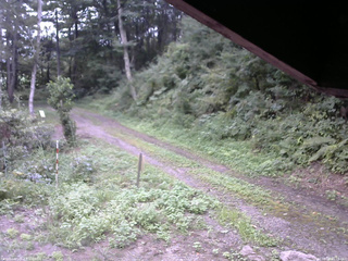 長野県菅平高原 ゆたか山荘 東側(坂下) 2025/08/25 15:15